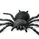 Illustration for article titled Scared Man Pulls Gun On Fake Spider